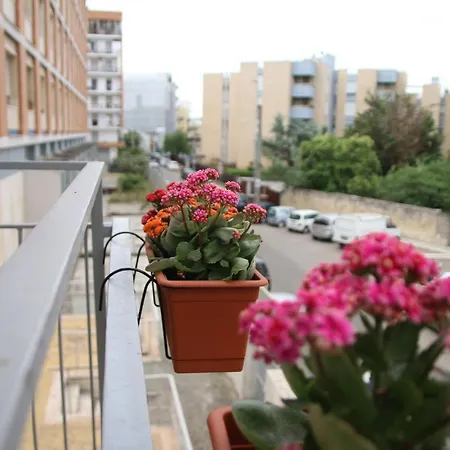 Appartement La Casa Di Stefania *